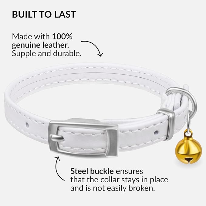 CollarDirect Leather Cat Collar with Bell - Kitten Collar, Small and Big Cat Collar for Boy Cats, Girl Cats with Safety Elastic Strap (Neck Fit 8"-11", White)