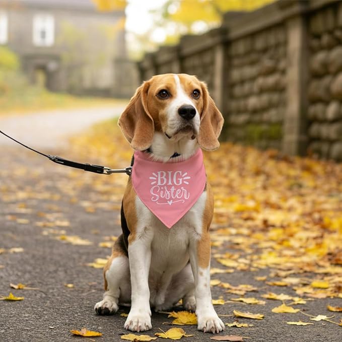 Big Sister Dog Bandana, Pink Pet Dog Scarf Accessories, Pet Triangle Scarf for Small Medium Dogs, Baby Announcement Dogs Bandana (M)