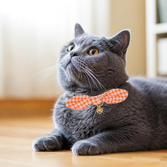Bowtie Cat Collar with Bell 2 Pack Cotton Breakaway Kitten Collars with Removeable Bunny Ear Stylish Cat Collars(Floral Orange & Plaid)