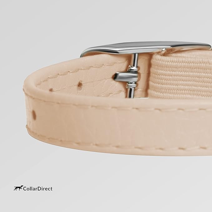 CollarDirect Leather Cat Collar with Removable Bell (Beige, 8-11 Inch)
