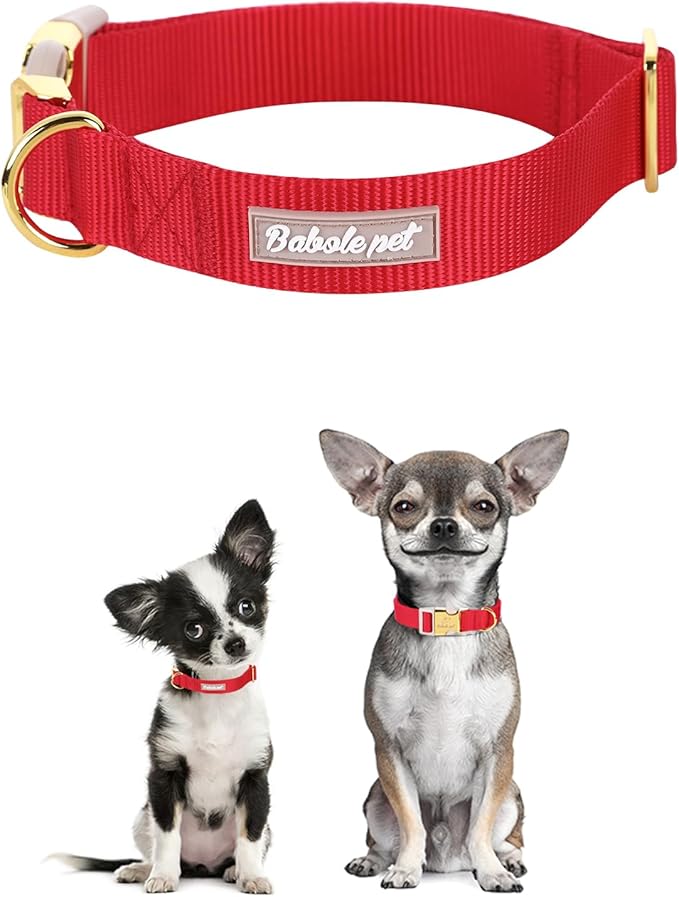 Nylon Dog Collar - Adjustable Burgundy Red Soft Webbing Dog Collars for Small Medium Large Dogs Boy Girl Puppy Collar with Safety Metal Buckle L