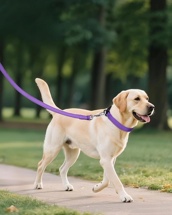 Joytale Reflective Dog Collar, Adjustable Nylon Pet Collar with Quick-Release Buckle for Medium Dogs, Purple, M