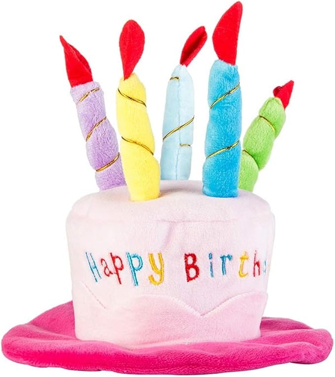Cute Adorable Dog Cat Birthday Cake Hat Pet Cap Headwear Hat with 5 Color Candles Design Party Custom Accessory (One Size fits Most) (Blue)