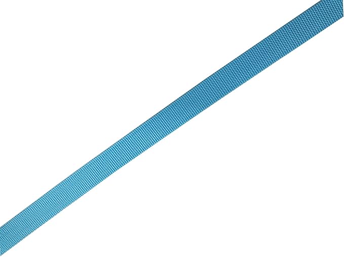 Adjustable Nylon Dog Collar, pet Collar 1 Inch 3/4 Inch 5/8 Inch Wide, for Large Medium Small Dogs (L(1" x 16-23"), Sky Blue)