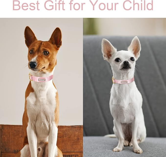 Nylon Dog Collar - Adjustable Pink Soft Webbing Dog Collars for Small Medium Large Dogs Boy Girl Puppy Collar with Safety Metal Buckle M