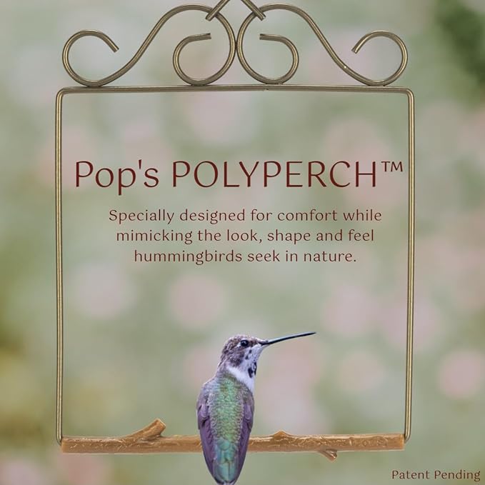 The Original Hummingbird Swing for Outdoors - Perfect Bird Perch for Small Birds - Sturdy Steel Metal Swing Set with Hook Included