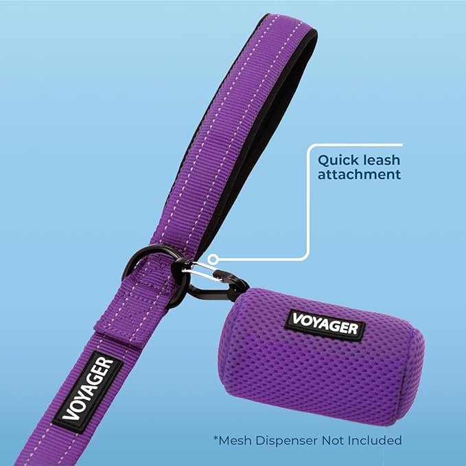 Best Pet Supplies Voyager Reflective Dog Leash or Collar with Neoprene Handle, for Small, Medium, and Large Breed Puppies, Cute and Heavy Duty for Walking, Running and Training - Purple Leash, L