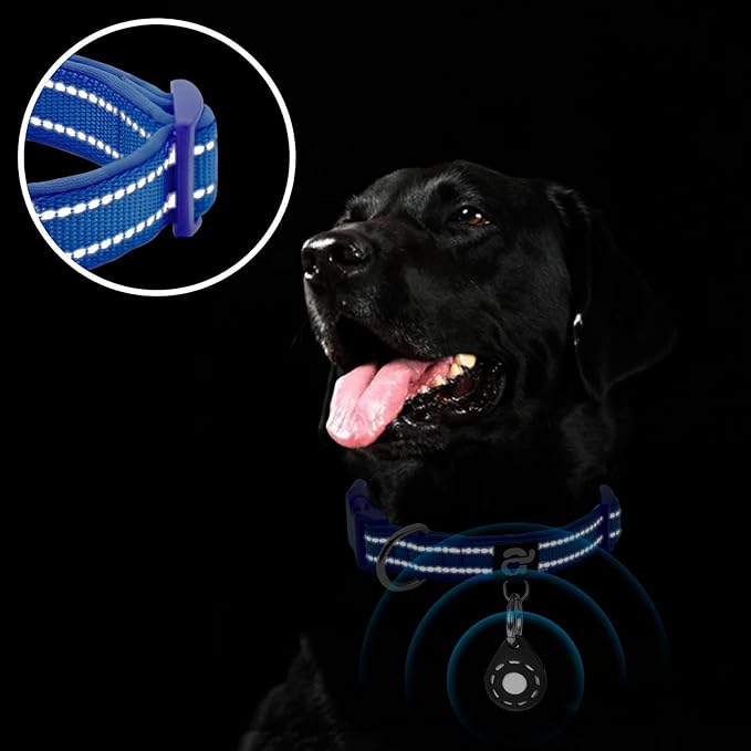 azuza Reflective Dog Collar with Airtag Holder, Soft Neoprene Padded Pet Collar with ID Tag Ring, Adjustable for Medium Dogs,Royal Blue,M