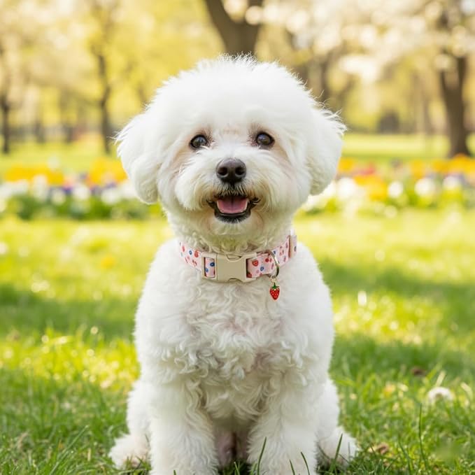 Pink Dog Collar, Girl Dog Collar for Small Dogs, Spring Summer Puppy Collar with Cute Strawberry, Cherry and Blueberry Print, Soft Adjustable Collars for Girls Boys Dogs, S