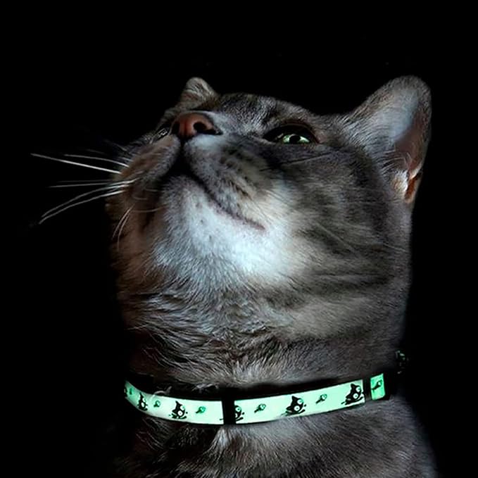 Pawtitas Glow in The Dark Cat Collar with Breakaway Safety Buckle & Bell Adjustable Kitten Collar, Teal