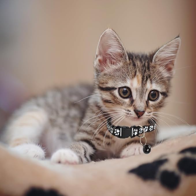 MJIYA Cat Collar with Bell, Breakaway Grid Collar with Plastic Buckle, Light Adjustable, Nylon, Kitty Collars (Black)