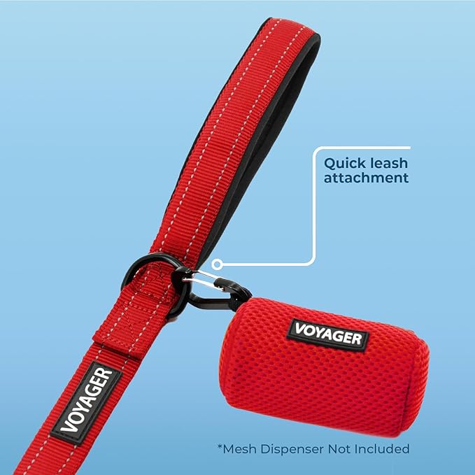 Best Pet Supplies Voyager Reflective Dog Leash or Collar with Neoprene Handle, for Small, Medium, and Large Breed Puppies, Cute and Heavy Duty for Walking, Running and Training - Red Leash, L