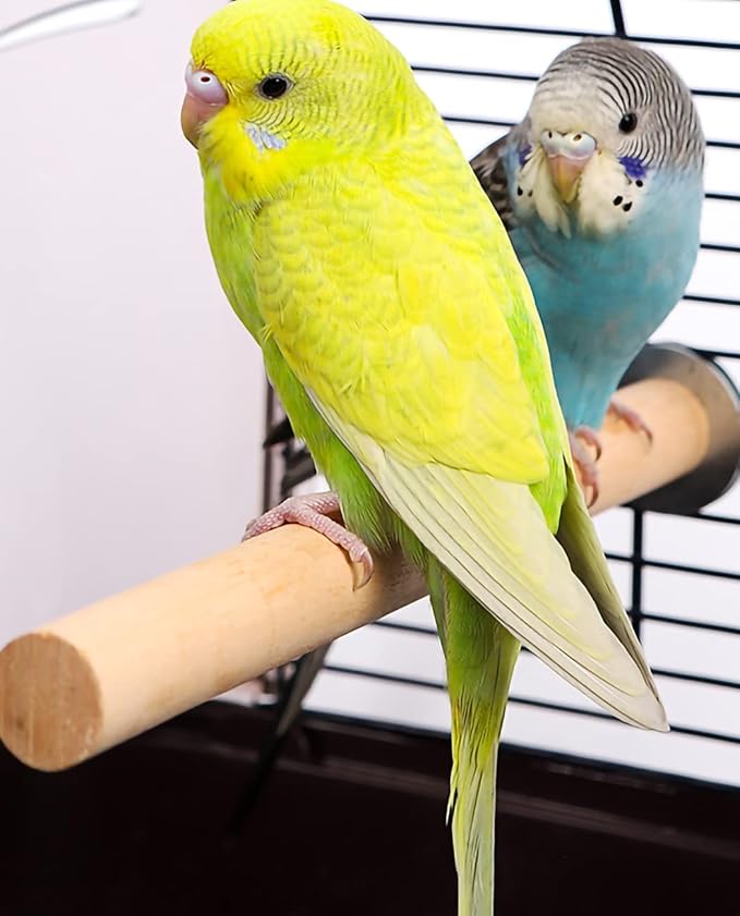6 PCS Natural Wood Bird Perches Set, Parrot Stand Fork Toys, Hanging Multi-Branch Perch Bird Cage Accessories for Small Parakeets, Conures, Cockatiels, Budgies, Finches, 3 Types