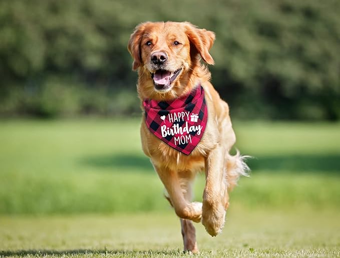 Ptzizi Funny Red Plaid Happy Birthday Mom Dog Printed Triangle Bandana, Small Medium Large Girl Pet Dog Birthday Party Scarf Bib Accessories Gift for Pet Dog Lovers Gift