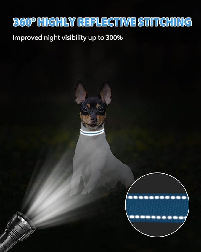 Joytale Small Dog Collar, Reflective and Adjustable Nylon Collar with Quick-Release Buckle, Lightweight No-Choke Design for Puppy and Extra Small Dogs, Sky Blue, XS