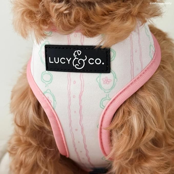 Lucy & Co. Sipping Slowly Reversible Dog Harness, Adjustable Comfort Fit with Dual Leash Attachments, Large