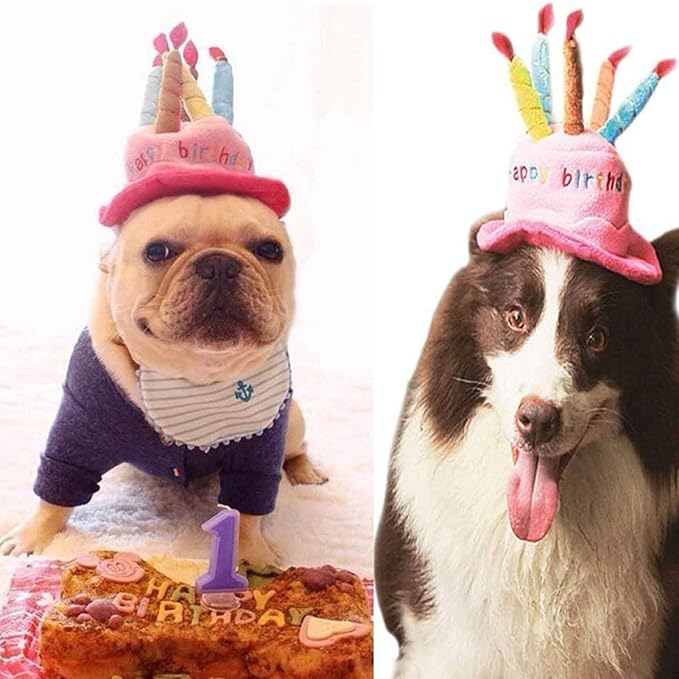 Cute Adorable Dog Cat Birthday Cake Hat Pet Cap Headwear Hat with 5 Color Candles Design Party Custom Accessory (One Size fits Most) (Blue)