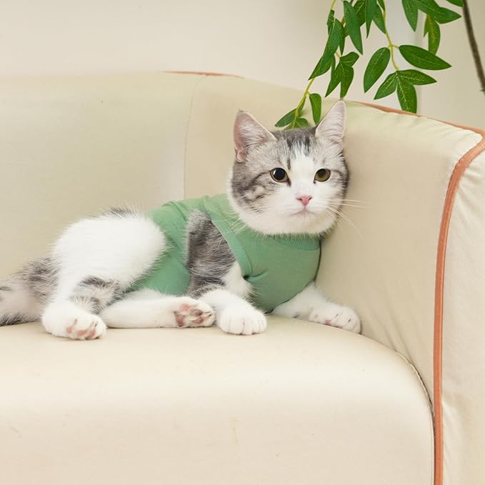Cat Recovery Suit Cat Onesie for Cats After Surgery Female Male Spay Kitten Neuter Surgical Bodysuit Post Surgery Cone of Shame Alternative Anti Licking(Green, Medium)