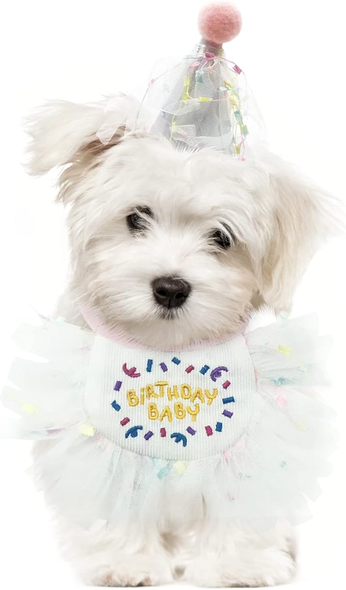 2 PCS Cat Doggy Party Hat & Bib Set - Pink Mesh Bib, Cat & Dog Birthday Outfit, Cat Party Decorations