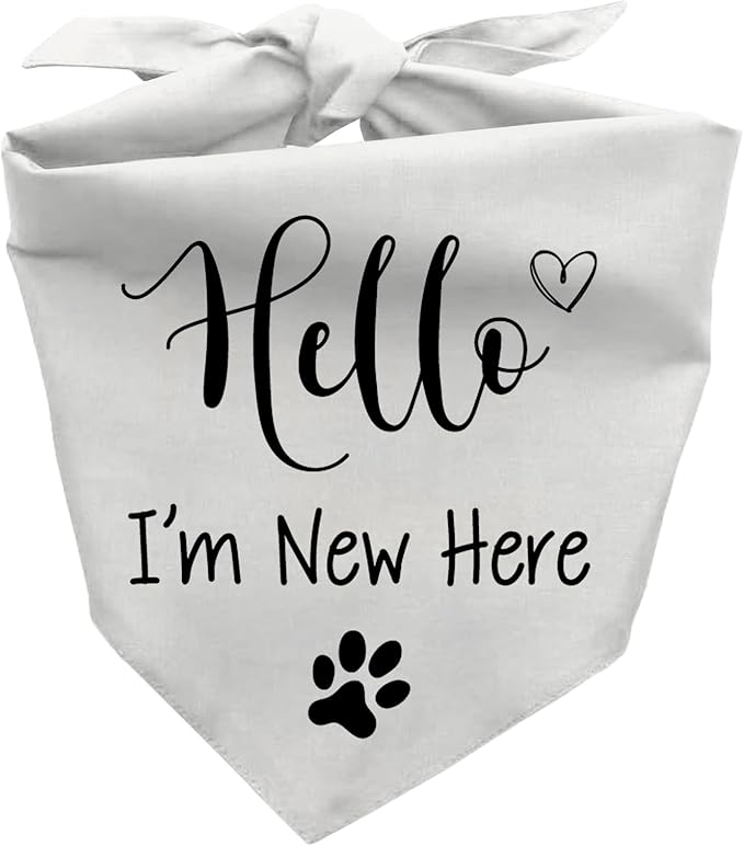 Hello I'm New Here Dog Bandana, New Puppy Reveal Party Photo Prop, Cute New Puppies Announcement Gifts for Dog Owner, Triangle Bibs Scarf for Pets