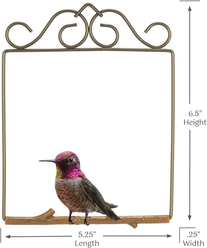 The Original Hummingbird Swing for Outdoors - Perfect Bird Perch for Small Birds - Sturdy Steel Metal Swing Set with Hook Included