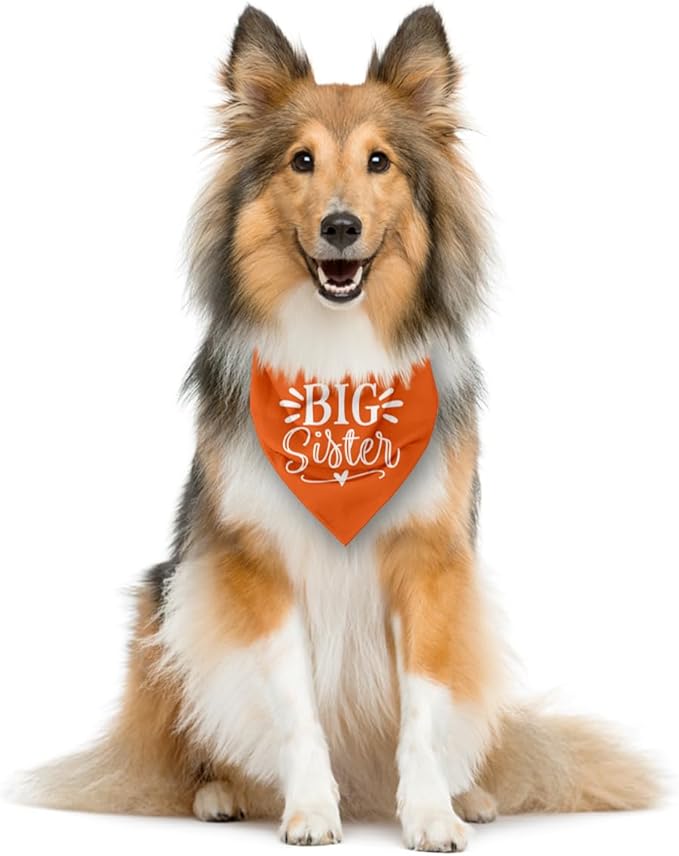 Big Sister Dog Bandana, Big Sister Bandana for Dog, Dog Pregnancy Announcement, Orange Dog Bandana, Big Sister Dog Shirt, Dog Bandana Pet Scarf, Dog Bandana for Small Medium Large Dogs (D28)