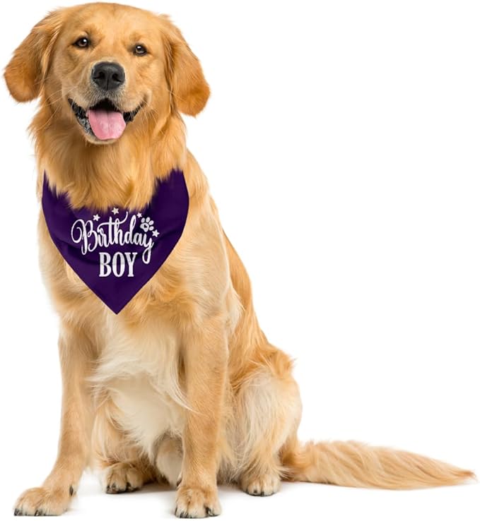 Birthday Boy Dog Bandanas, Dog Birthday Bandana, Birthday Bandana for Small Medium Dog, Pet Accessories for Dog, Happy Birthday Dog Bandana for Boys, Pet Scarf (B16)
