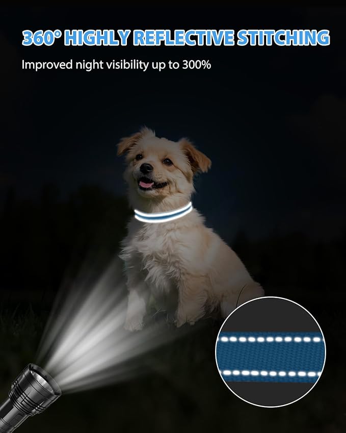 Joytale Small Dog Collar, Reflective and Adjustable Nylon Collar with Quick-Release Buckle, Lightweight No-Choke Design for Small Dogs, Sky Blue, 3/4" Width