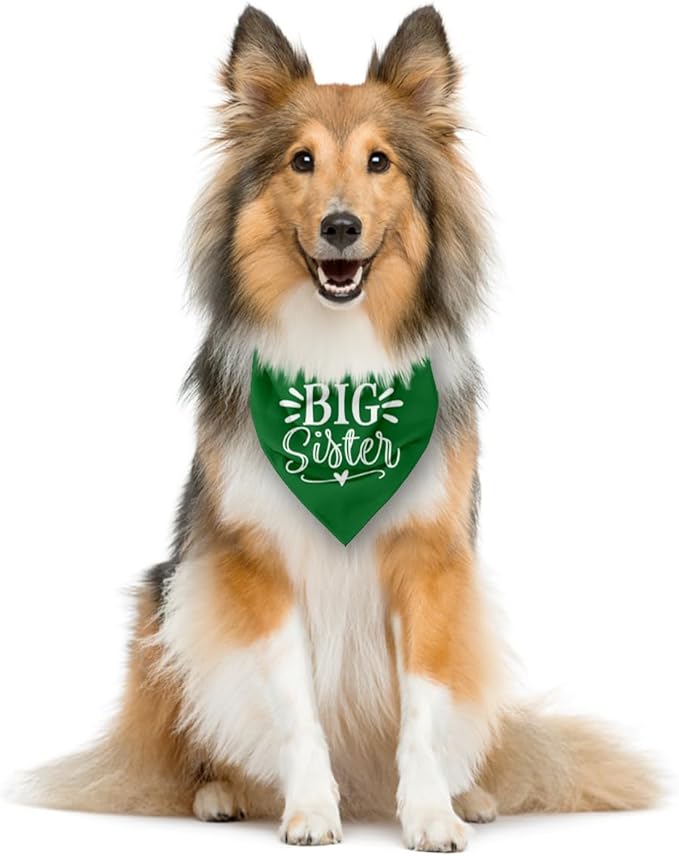 Big Sister Dog Bandana, Green, Triangle, 25 x 17 Inches, Flannel, Comfortable, Water Resistant, Geometric Pattern, Baby Shower, Unisex, Medium Dog Size, V-Neck, Machine Washable