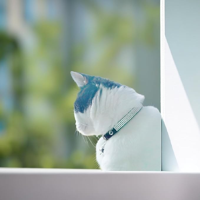 Rhinestone Cat Collar Breakaway with Bell Safety Buckle, Adjustable Diamond Girl Boy Kitty Cute Comfy Collar for Kitten Tiny Little Pets Rabbits, 6"-9" Sky Blue Extra Small