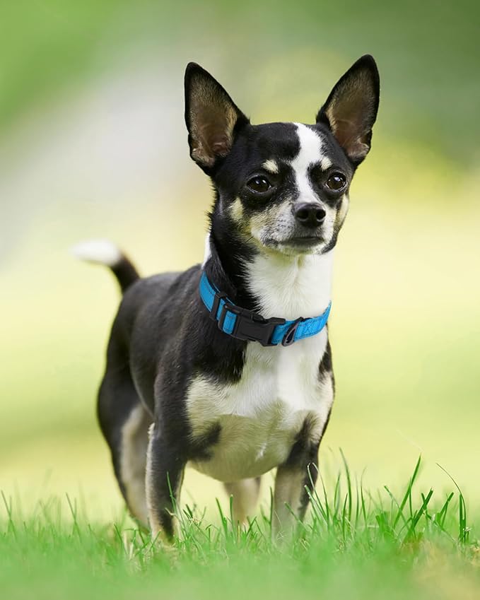 Joytale Reflective Dog Collar,Soft Neoprene Padded Breathable Nylon Pet Collar Adjustable for Puppy and Small Dogs, Sky Blue,XS
