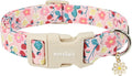 Dog Collar for Medium Dogs, Spring Pink Dog Collars with Strawberries & Flowers, Adjustable Medium Dog Collars, Cute Girl or Boy Dog Collar Ideal for Puppy Gifts,Pet Accessory