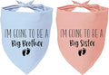 2 Pack Dog Bandana Pregnancy Announcement, I'm Going to Be a Big Brother Gender Reveal Puppy Dog Scarf Accessories, Adjustable Pet Bandana Scarf for Small Medium Large Dogs