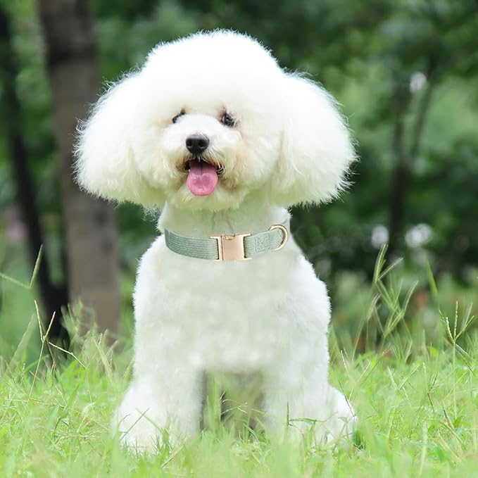 Soft Cotton Dog Collar with Metal Buckle Adjustable Heavy Duty Comfy Corduroy Collars for Small Medium Large Dogs,Grass Green,Large