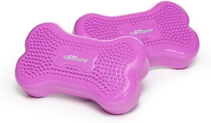 FitPAWS® K9FITbone® - Mini, Razzleberry (Set of 2) | Dog Balance Training Platform & Exercise Equipment | Workout Tool for Strength, Core & Stability