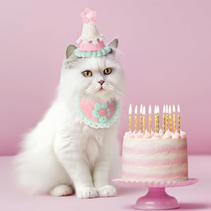 Sanwuta 2 Pcs Cat Birthday Party Supplies, Knit Cat Hat Kitten Birthday Bib Knit Bandana Pet Party Costume Headwear Accessories for Puppy Kitten Small Dogs Animals(Pink)