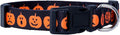 Native Pup Halloween Dog Collar- Spooky Fall Themed Horror Costume Collars- Skull, Pumpkin, Ghost, Bat, Witch, Candy Corn, Spider- Adjustable for Small, Medium, Large Breeds (Large, Big Pumpkins)