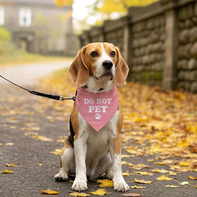 E61 Dog Triangle Scarf - Cute & Funny Pink Bandana - Small, Medium & Large Dogs - Gift for Dog Lovers