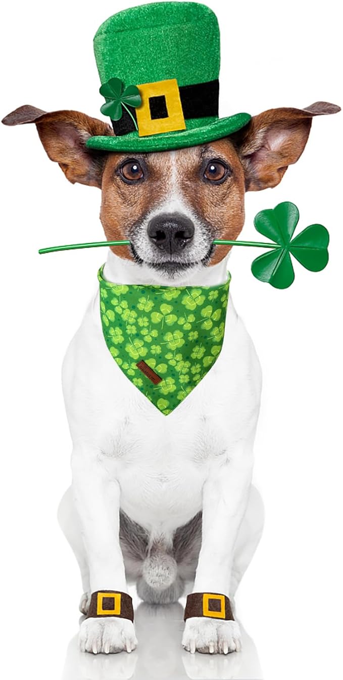 ARING PET St Patrick's Dog Bandana 2 Pack-Green Clovers Dog Bandanas, Reversible Shamrock&Beer Dogs Triangle Bibs Trefoil Pet Scarf for Dogs and Cats