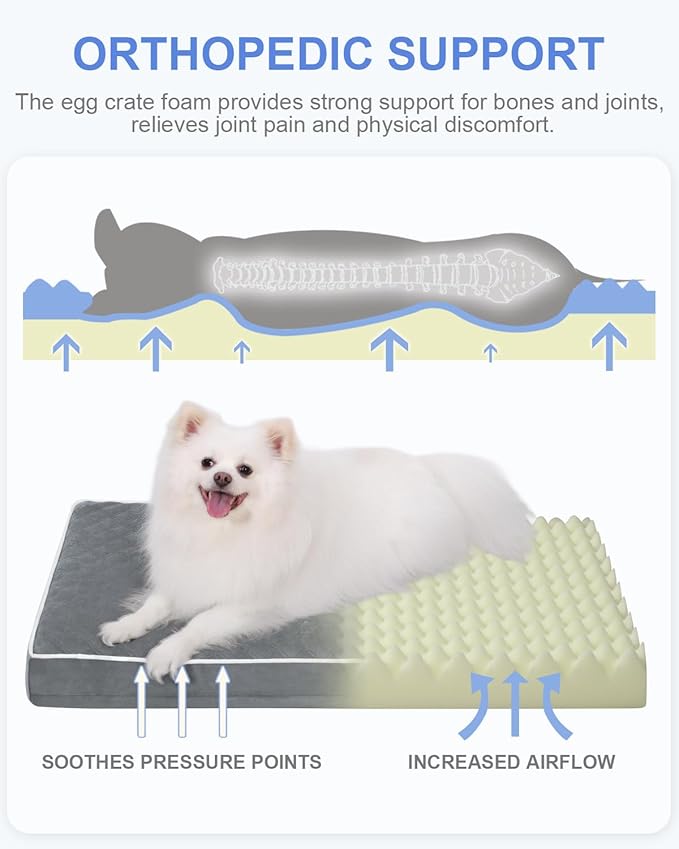 KSIIA Dog Bed for Crate Pad Waterproof for Small Dogs with Removable Washable Cover, Egg Crate Foam and Non-Slip Bottom, 23x17 Inch, Dark Gray