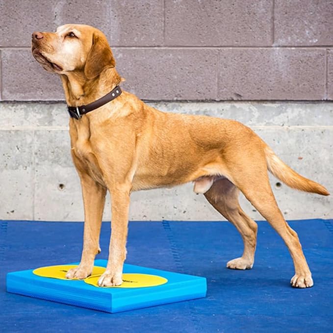 FitPAWS Targets