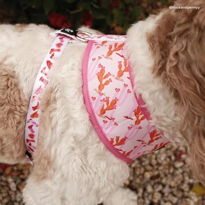 Lucy & Co. Cute Reversible Dog Harness Walking Halter - Best Designer Pet Harnesses for XS - XL Dogs - Padded Adjustable Vest for Easy Walking. (Howdy, Honey Reversible Harness).