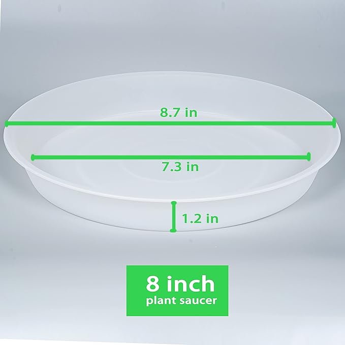 2 Pack of 8 inch Plant Saucer Clear, Heavy Duty Plastic Plant Water Tray 8 inch Round, Flower Plant Saucers for Indoors No Holes, Plant Dishes Saucer for Planter 7"/8" (8", Clear)