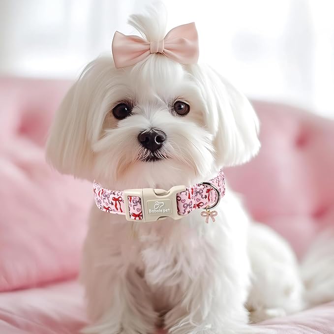 Girl Dog Collar for Medium Dogs - Cute Heart Bow Print Girly Dog Collars, Soft Adjustable Spring/Summer Holiday Female Dogs Collar with Quick-Release Buckle M
