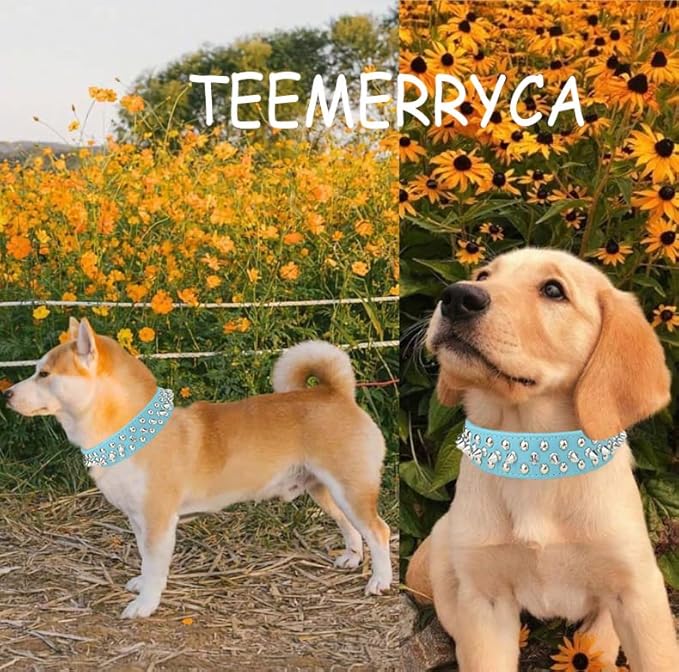 TEEMERRYCA Adjustable PU Leather Spiked Studded Dog Collars with a Squeak Ball Gift for Small Medium Large Pets Like Cats/Pit Bull/Bulldog/Pugs/Husky, Blue, XXL 19.7-22.4 inches