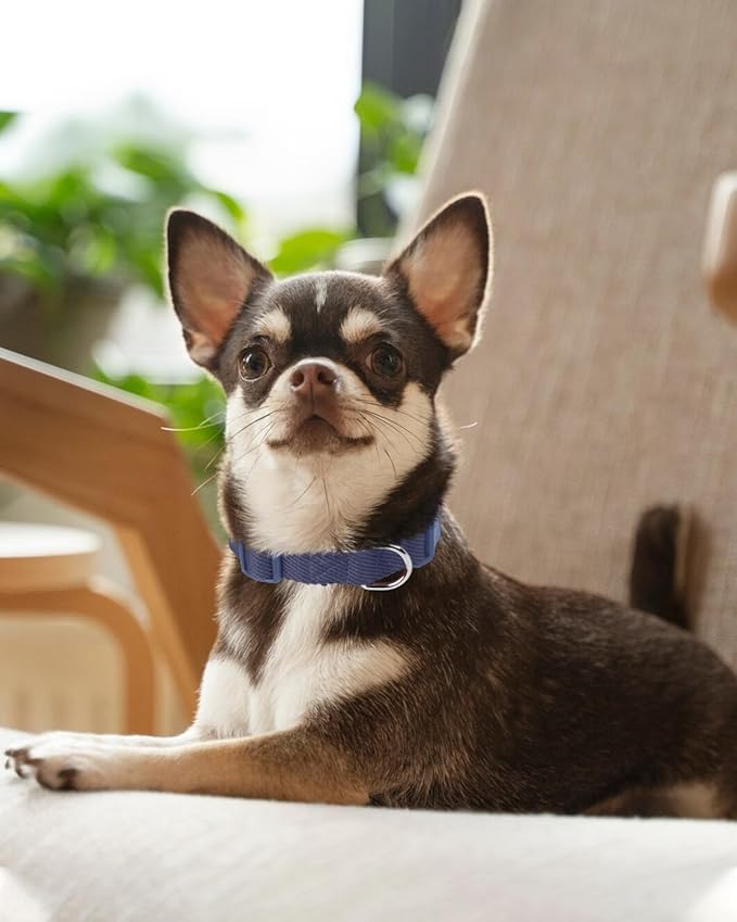 Dynmeow Soft and Breathable Cotton Dog Collar, Durable Adjustable Pet Collar with Quick-Release Buckle, Lightweight for Sensitive Skin for Puppies and Extra-Small Dogs, Navy-Blue, Xs