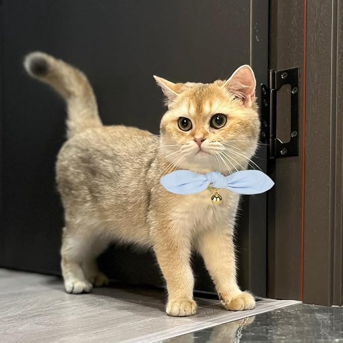 Bunny Ear Cat Collar with Bell and Bow Tie, Breakaway Cute Bowtie Kitten Collars(Blue)