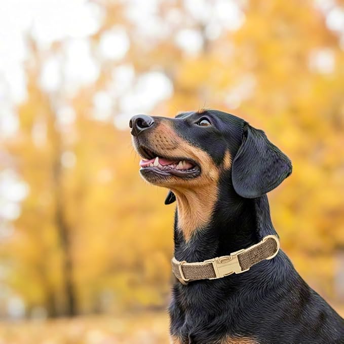 Soft Cotton Hemp Dog Collar with Metal Buckle Adjustable Tweed Dog Collars for Small Medium Large Dogs(Coffee,Large)