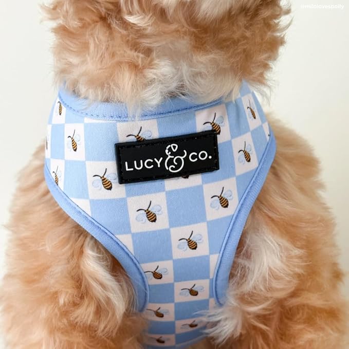 Lucy & Co. Bumbling Around Reversible Dog Harness, Adjustable Comfort Fit with Dual Leash Attachments, Small