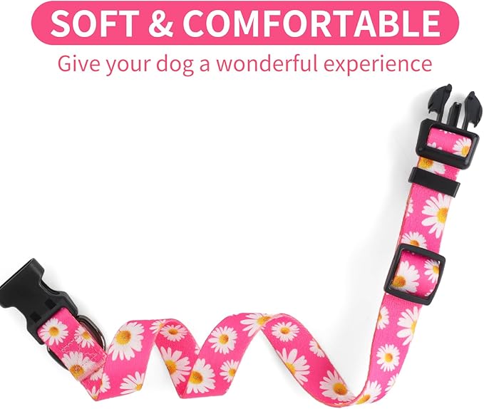 QQPETS Adjustable Soft Dog Collar: Print Flower Pink Multicolor Cute Patterns for XS Small Medium Large Pet Girl Boy Puppy Walking Running Training (L, Small Daisies)
